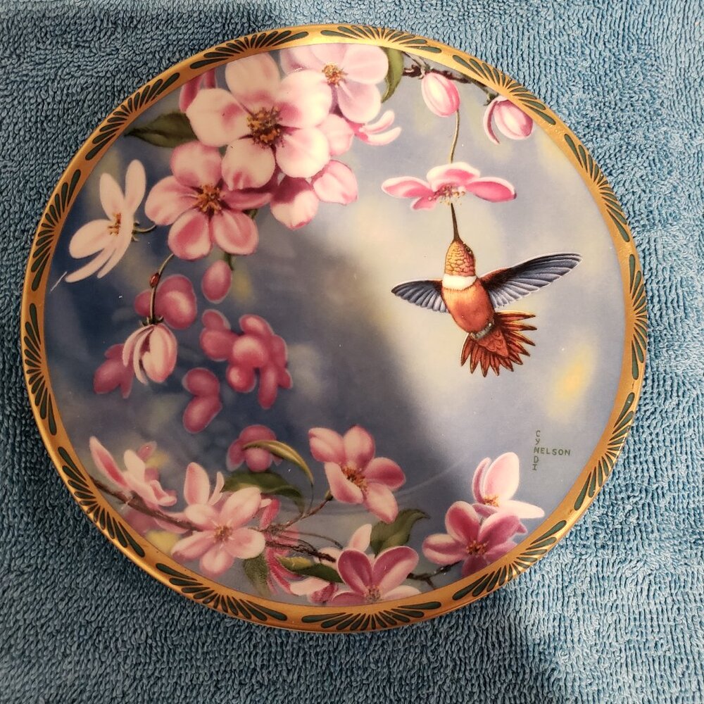 Pickard Rufous Hummingbird & Apple Blossoms Cyndi Nelson